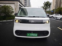 Dà Ná Dana V1 Short Wheelbase Low Roof (42kWh) - ფოტო 2