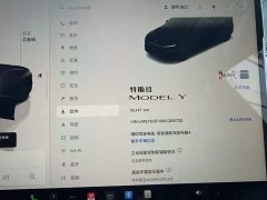 Tesla Model Y Rear-Wheel Drive - ფოტო 6