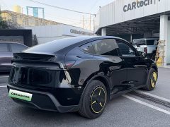 Tesla Model Y Rear-Wheel Drive - ფოტო 8