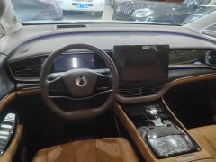 Denza D9 2022 DM-i 970 AWD Flagship - ფოტო 12