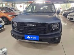 Great Wall Dachshund 2024 1.5T DCT Border Collie Edition - ფოტო 2
