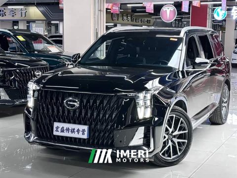 2024 GAC Aion GS8 Dual Engine 2.0T FWD Luxury Edition - автомобиль из Китая