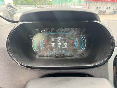 Chery Ant 301km True Love Plus Version Lithium iron phosphate - ფოტო 7