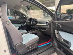 Chery Ant 301km True Love Plus Version Lithium iron phosphate - ფოტო 8