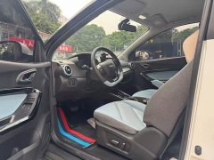 Chery Ant 301km True Love Plus Version Lithium iron phosphate - ფოტო 9