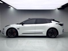Zeekr 001 YOU Edition 100kWh AWD - ფოტო 18