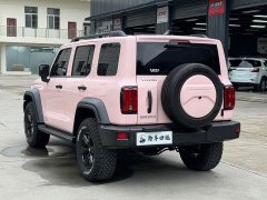 Tank 300 2021 Off-Road Edition 2.0T Conqueror - ფოტო 13
