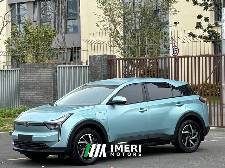 Neta U 2021 Pro 400 Premium Driving Edition - ავტომობილი ჩინეთიდან