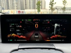 Neta U 2021 Pro 400 Premium Driving Edition - ფოტო 11