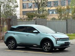 Neta U 2021 Pro 400 Premium Driving Edition - ფოტო 3
