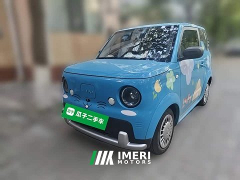 2025 Rui Lan Blue Balloon Vitality Edition - car from China