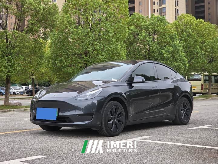 Tesla Model Y Rear-Wheel Drive