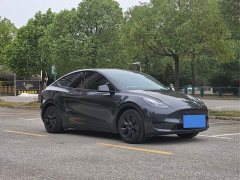 Tesla Model Y Rear-Wheel Drive - ფოტო 3