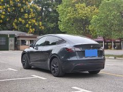 Tesla Model Y Rear-Wheel Drive - ფოტო 7