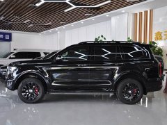 Tank 500 3.0T Black Warrior Limited Edition 5-Seater - ფოტო 3