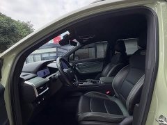 Geely Radar Horizon 460km AWD Max Edition - ფოტო 7