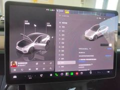 Tesla Model Y Rear-Wheel Drive - ფოტო 6