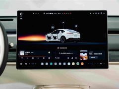 Nio Lerado L60 2024 60kWh AWD - ფოტო 15