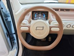 FAW Besturn Xiaoma 2026 222km Cute Horse Plus - ფოტო 11
