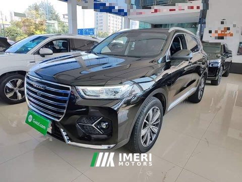 2021 Haval H6 1.5L Turbocharged Automatic Champion Edition - ავტომობილი ჩინეთიდან