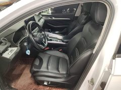 Geely Xingrui 2.0T Diesel Luxury - ფოტო 15