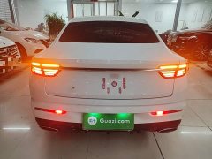 Geely Xingrui 2.0T Diesel Luxury - ფოტო 6