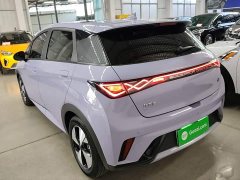 BYD Dolphin 420km Fashion Edition - ფოტო 5