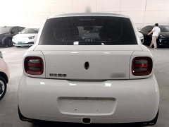 ORA Black Cat 301km Base - ფოტო 6