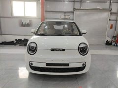Changan Lumin Treasure Edition 205km Cool Love White CATL - ფოტო 3