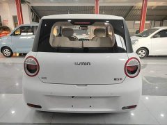 Changan Lumin Treasure Edition 205km Cool Love White CATL - ფოტო 4