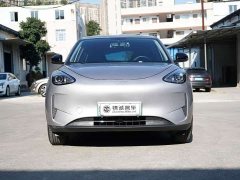 Geely Starwish 410km Freedom Edition - ფოტო 2