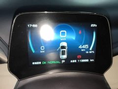 BYD Yuan Plus Champion Edition 510KM Leading - ფოტო 12