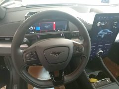 Ford Mustang Mach-E 2021 GT - ფოტო 11