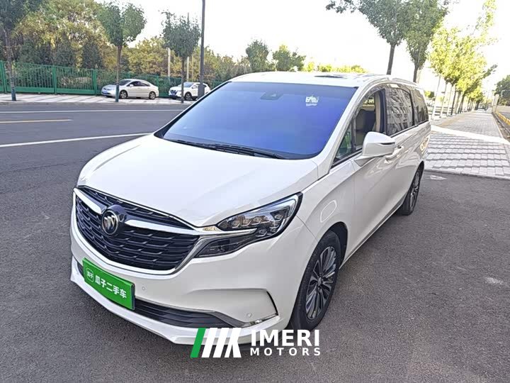 Buick GL8 ES Land Respect 653T Luxury - ავტომობილი ჩინეთიდან