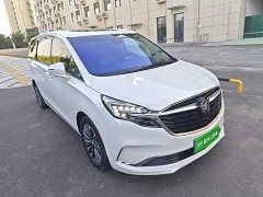 Buick GL8 ES Land Respect 653T Luxury - ფოტო 4