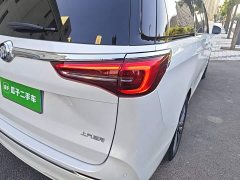 Buick GL8 ES Land Respect 653T Luxury - ფოტო 8