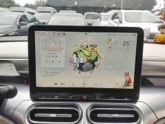 smart #1 2022 Pro Edition - ფოტო 13