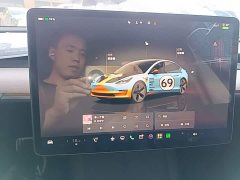 Tesla Model 3 2022 Rear-Wheel Drive - ფოტო 13