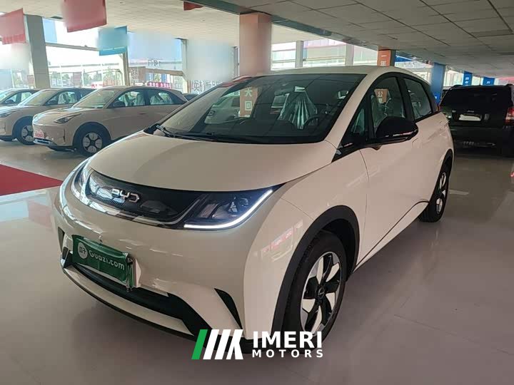 BYD Dolphin 2025 420km Freedom Edition - ავტომობილი ჩინეთიდან