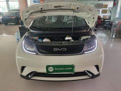 BYD Dolphin 2025 420km Freedom Edition - ფოტო 20
