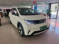 BYD Dolphin 2025 420km Freedom Edition - ფოტო 4