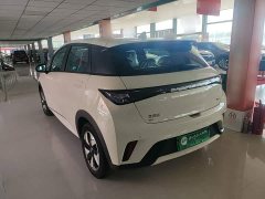 BYD Dolphin 2025 420km Freedom Edition - ფოტო 5