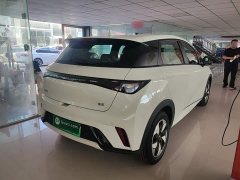 BYD Dolphin 2025 420km Freedom Edition - ფოტო 7