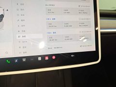 Tesla Model Y Rear-Wheel Drive - ფოტო 12