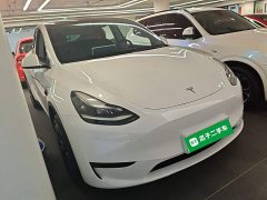 Tesla Model Y Rear-Wheel Drive - ფოტო 4