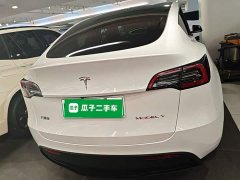 Tesla Model Y Rear-Wheel Drive - ფოტო 6