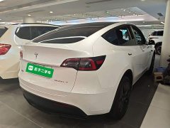 Tesla Model Y Rear-Wheel Drive - ფოტო 7