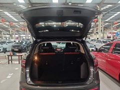 Geely Bingyue 2021 1.4T DCT Diamond Edition - ფოტო 19