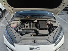 BYD Dolphin 06 DM-i Smart Drive 120KM Deluxe - ფოტო 20