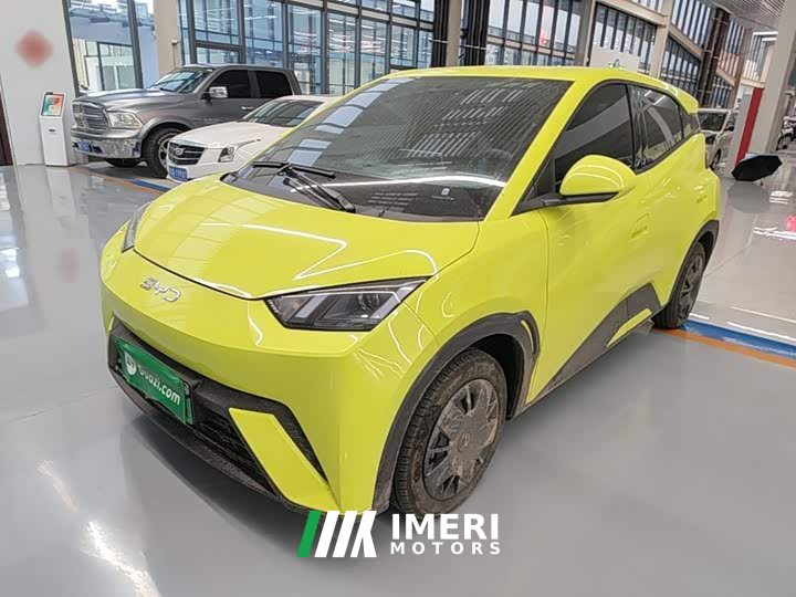 BYD Seagull Glory Edition 305km Vitality Version - ავტომობილი ჩინეთიდან